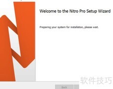 Nitro Pro 13企业版安装指南