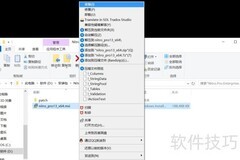 Nitro Pro 13企业版安装指南