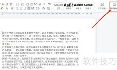 Word查找替换使用技巧