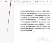 Word替换技巧大全