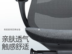 支家玲珑人体工学椅特价375元速抢