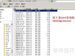 Win Server 2008磁盘清理指南