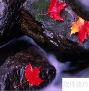 Win Server 2012更新设置指南