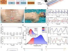 浙大研发水下创可贴柔性电子贴片，突破水下生命体实时监测技术瓶颈