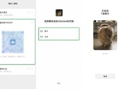 微信推多项免加好友临时功能，满足短时交互需求