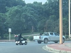 狗开车引热议 主人回应训练初衷