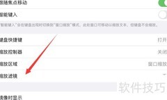 iPad Pro关闭缩放滤镜方法