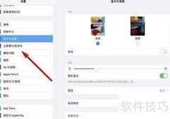 iPad Pro缩放滤镜设置指南