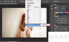 Silver Efex Pro滤镜使用技巧