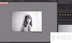 Silver Efex Pro滤镜使用技巧