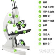 显微镜转换器功能解析