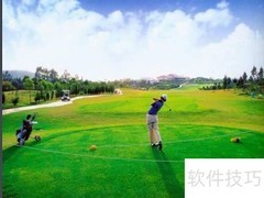 柏忌球是什么意思