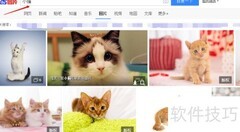 批量保存网页图片到Word