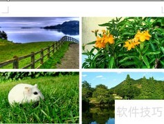 批量保存网页图片