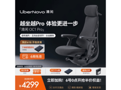 清闲人体工学椅pro京东特惠，低至3433元
