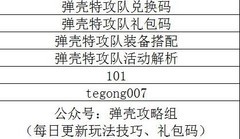 弹壳特攻队第二关技能搭配