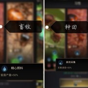 小小蚁国：习性选择与发展建议