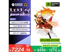 机械革命翼龙15Pro限时特惠