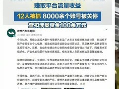 小米华为理想等联合报案，烟台警方摧毁新能源汽车黑水军团伙