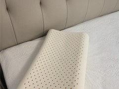 2026年5月乳胶枕实测排行榜：工艺认证透气清洁四维度综合评级推荐