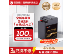 国轩高科A品锂电池直降100