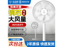 钻石牌12寸落地扇69元