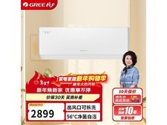 格力1匹天仪空调，到手价2454元