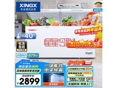 星星601L商用冰柜2737元