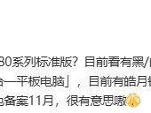 华为Mate 80系列通过备案，11月发布在即