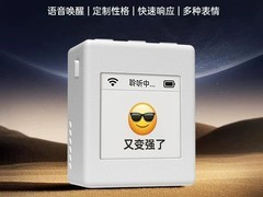 麦律小智ESP32开发板AI套件