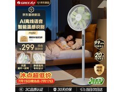 格力一级能效电风扇181元