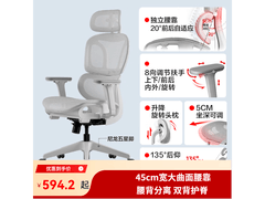 网易严选小蛮腰S9 Pro人体工学椅