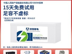 顶恒小牛FX/NX磷酸铁锂电池