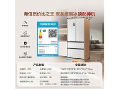 海信大薄荷冰箱509L年货特惠