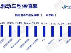问界M8以85.3%保值率登顶插混车型年度榜单，M9、坦克系列紧随其后