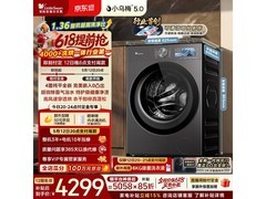 小天鹅小乌梅5.0洗衣机10kg预售钜惠