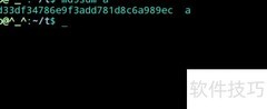 Linux中校验和使用方法