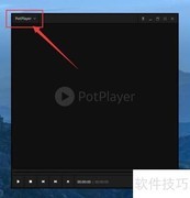 PotPlayer显示托盘图标设置方法