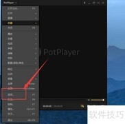PotPlayer显示托盘图标设置方法