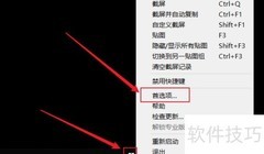 Snipaste托盘图标设置方法