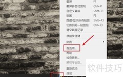 Snipaste托盘图标设置方法