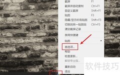 Snipaste托盘图标设置方法