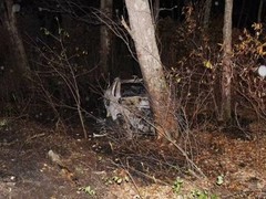 特斯拉Model Y车祸致青年被困焚亡，车门故障引安全诉讼