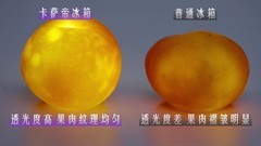 高端TOP1背后：卡萨帝冰箱用“果蔬灯”照亮领先距离