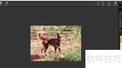 glamour柔肤效果使用指南