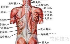 运动减肥：经验与教训