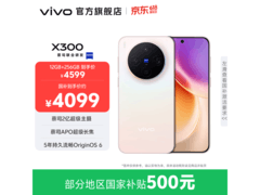 vivo X300 12GB+256GB幸运彩款京东优惠