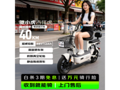 驰小虎吉祥虎电动自行车限时特惠