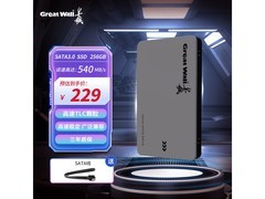 长城256GB SSD GW560系京东价229元