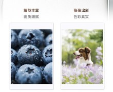 存储太贵不如实体化？盘点2026年在售便携照片打印机